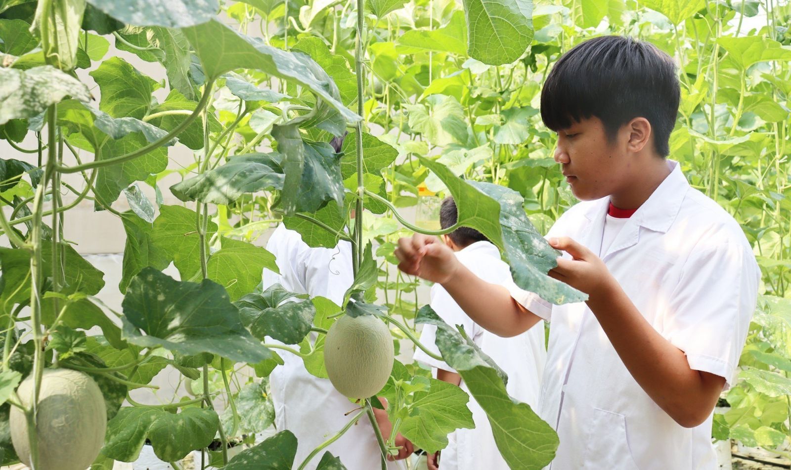 khu-nong-nghiep-cong-nghe-cao-cu-chi-Theme-Travel